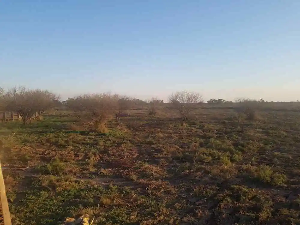 VENDO EXCELENTE CAMPO GANADERO!!! CON ESCRITURA INMEDIATA!!! IDEAL INVERSOR!!!