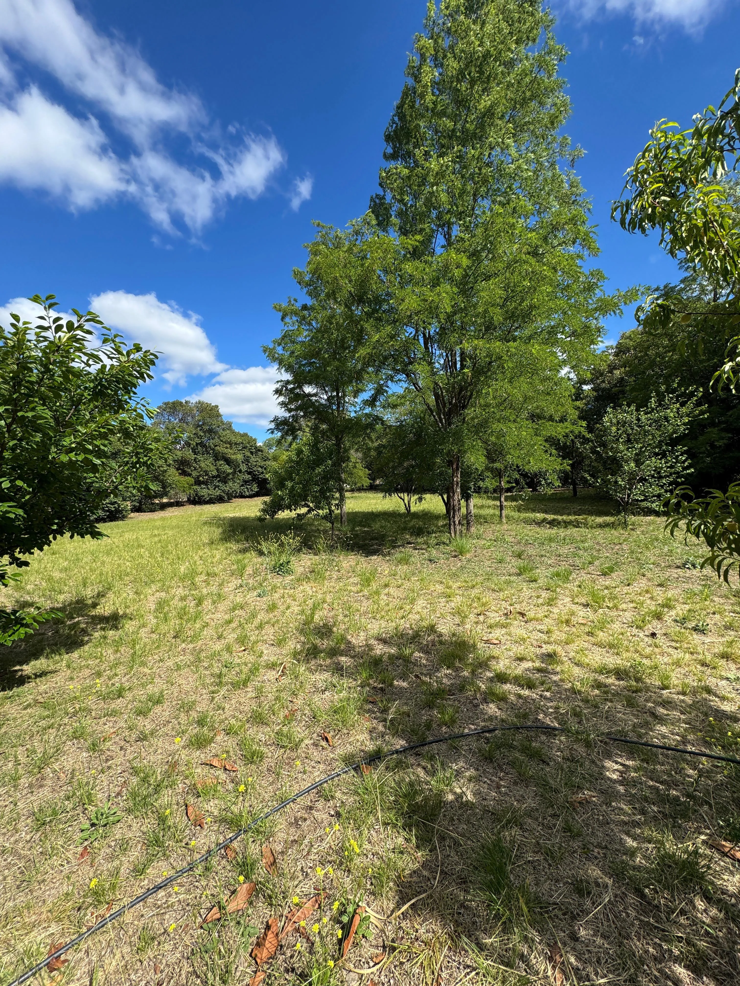 VENTA  - VILLA TULUMBA - LOTE PARA DESAROLLO TURISTICO - NO LO DEJES PASAR