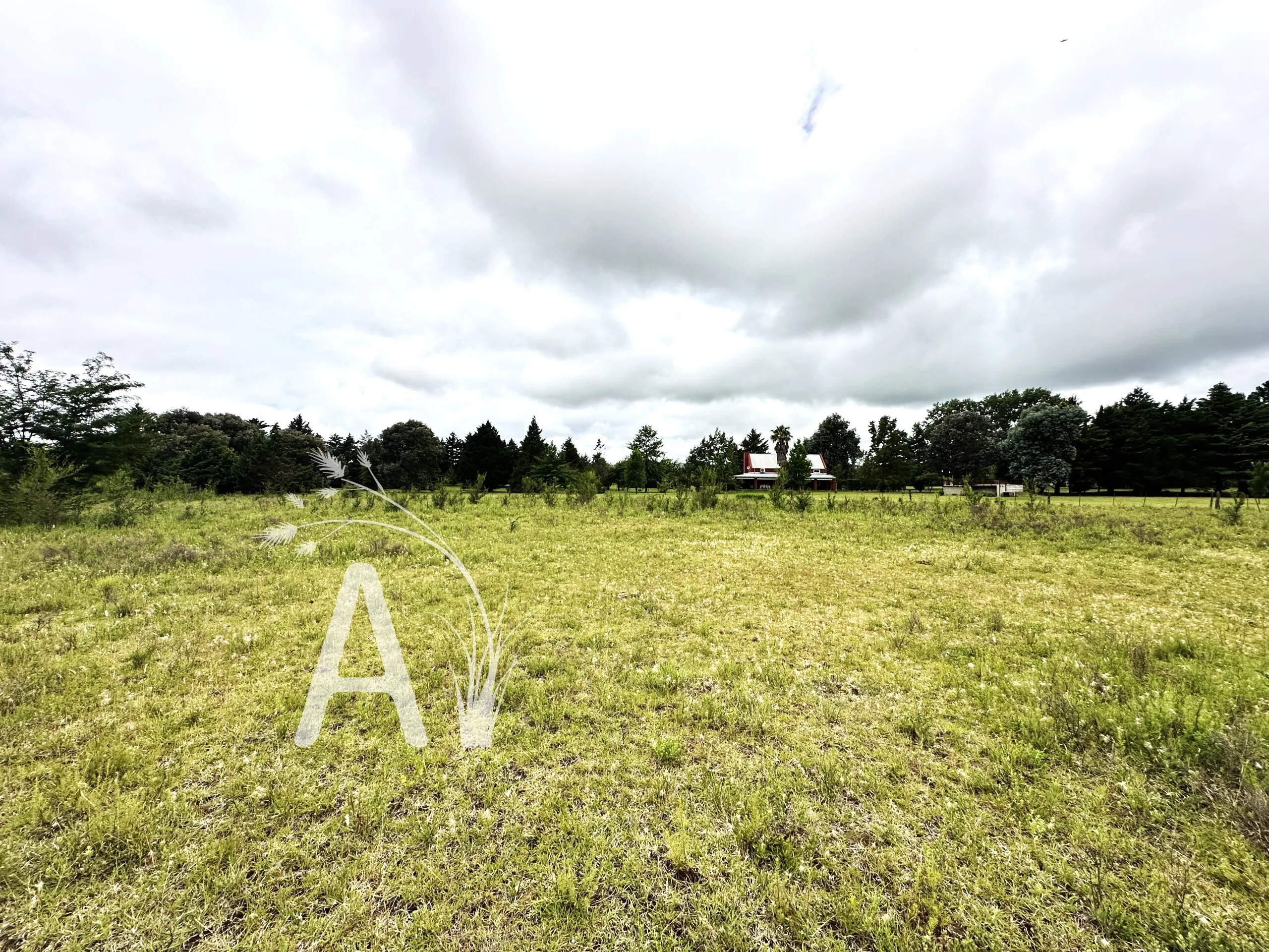 EXCELENTE OPORTUNIDAD -  VENDO LOTES DE 1.133 MTS EN LOS REARTES