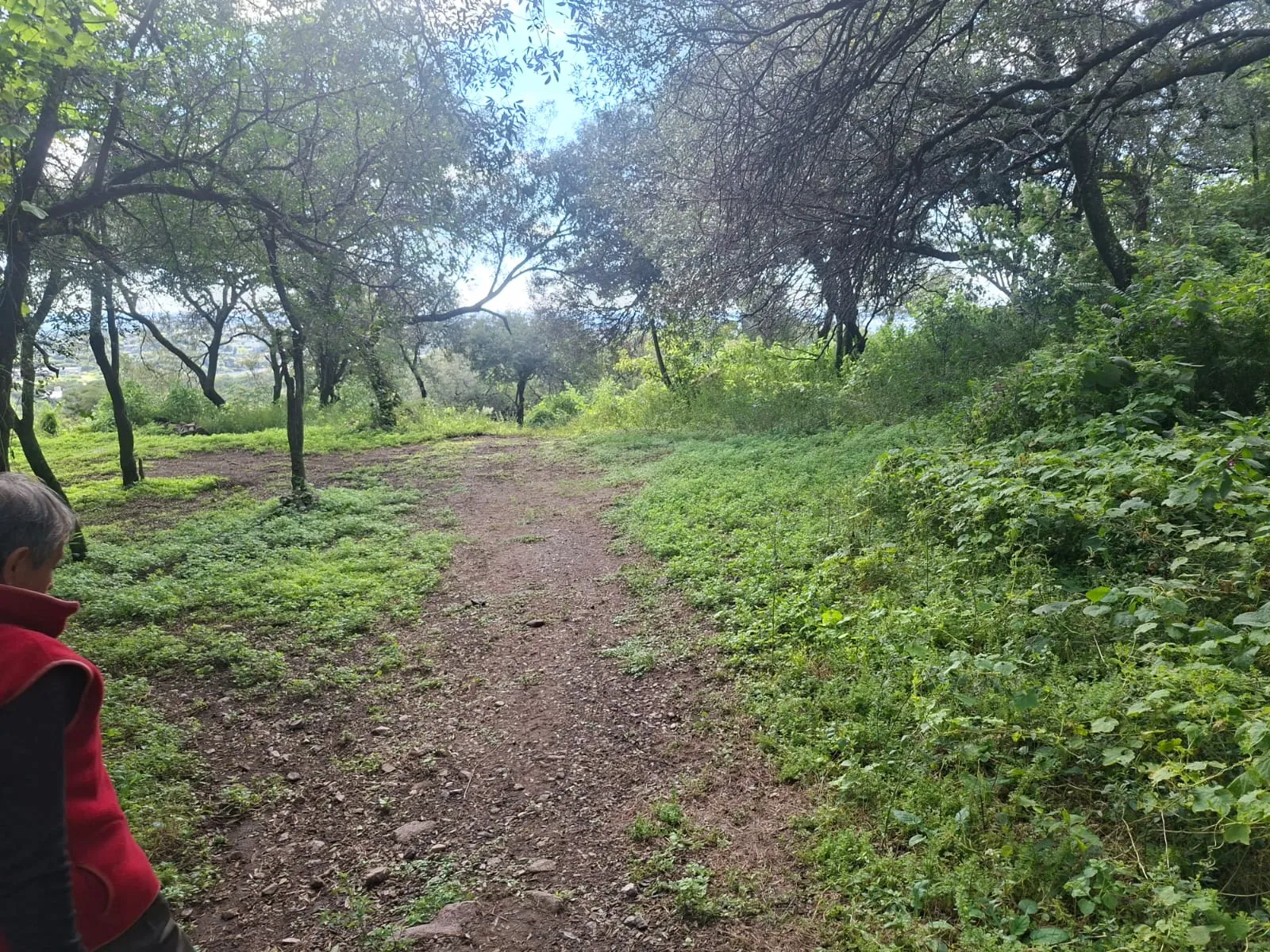 Vendo 5.5 hectareas en un terreno - SALSIPUEDES