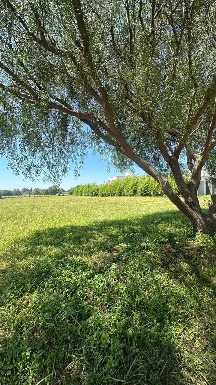 TERRENO EN VENTA - BARRANCAS (JESUS MARIA)