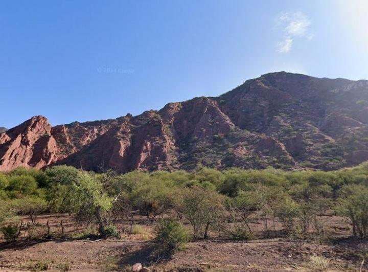 Terreno · 19000m²