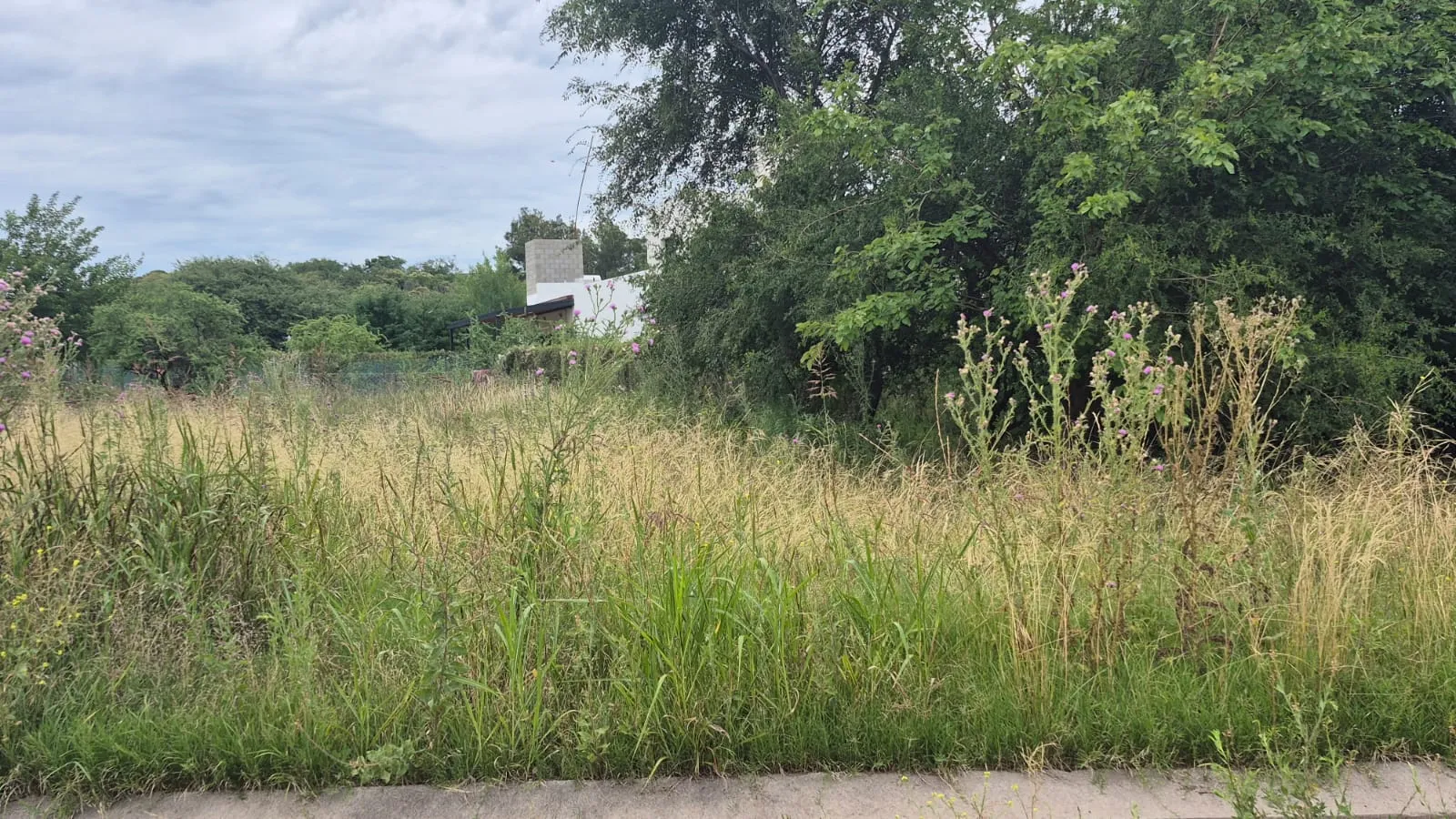 VENTA LOTE 530 M2- PROSSUR- RIO CEBALLOS - E -53