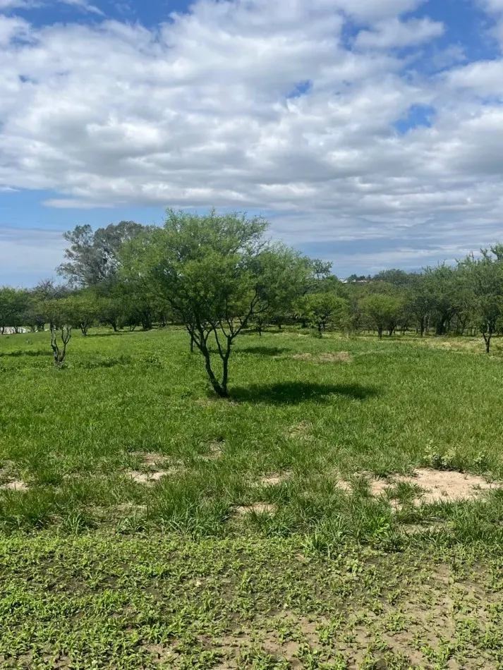Lotes En Altos De La Reserva - Alta Gracia