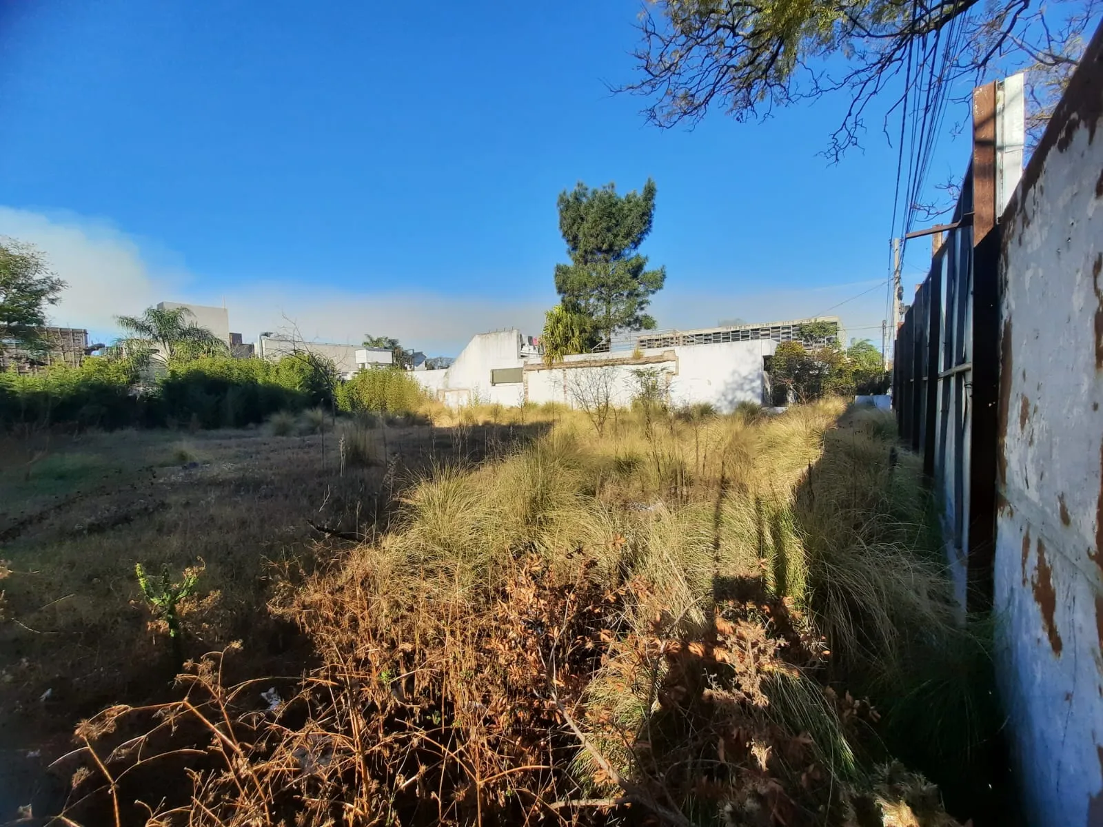 TERRENO COMERCIAL 600m2 CERRO DE LAS ROSAS sTEJEDA