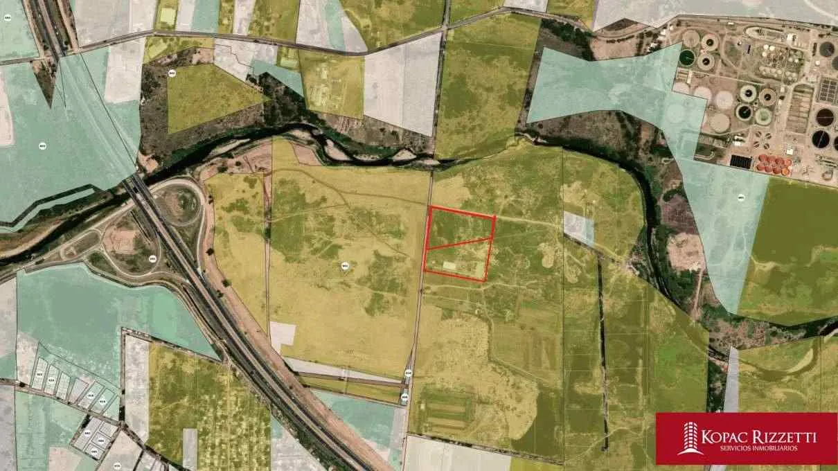 COLONIA LOLA - VENTA TERRENO 30000 M2.