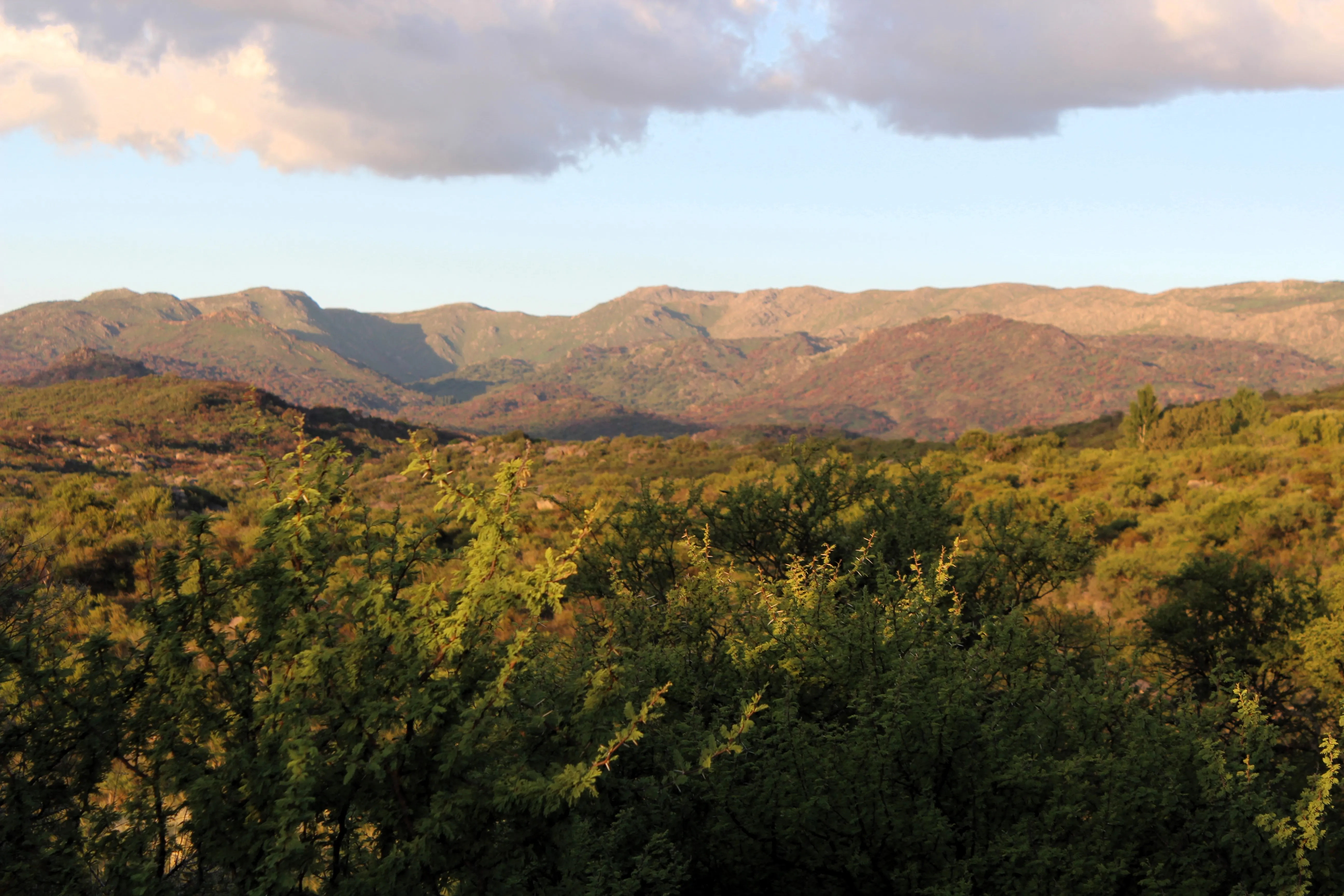 VENTA EXCLUSIVA DE LOTES EN EL MARGEN DEL RIO PANAHOLMA
