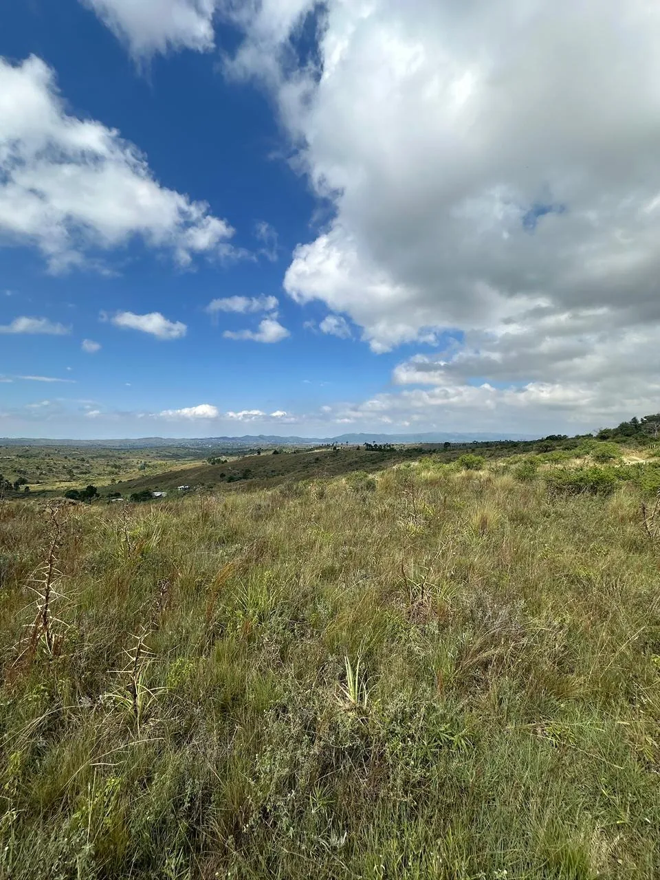 VENDO 10 HAS DE CAMPO EN ZONA PAMPA ALTA - EXCELENTES VISTAS