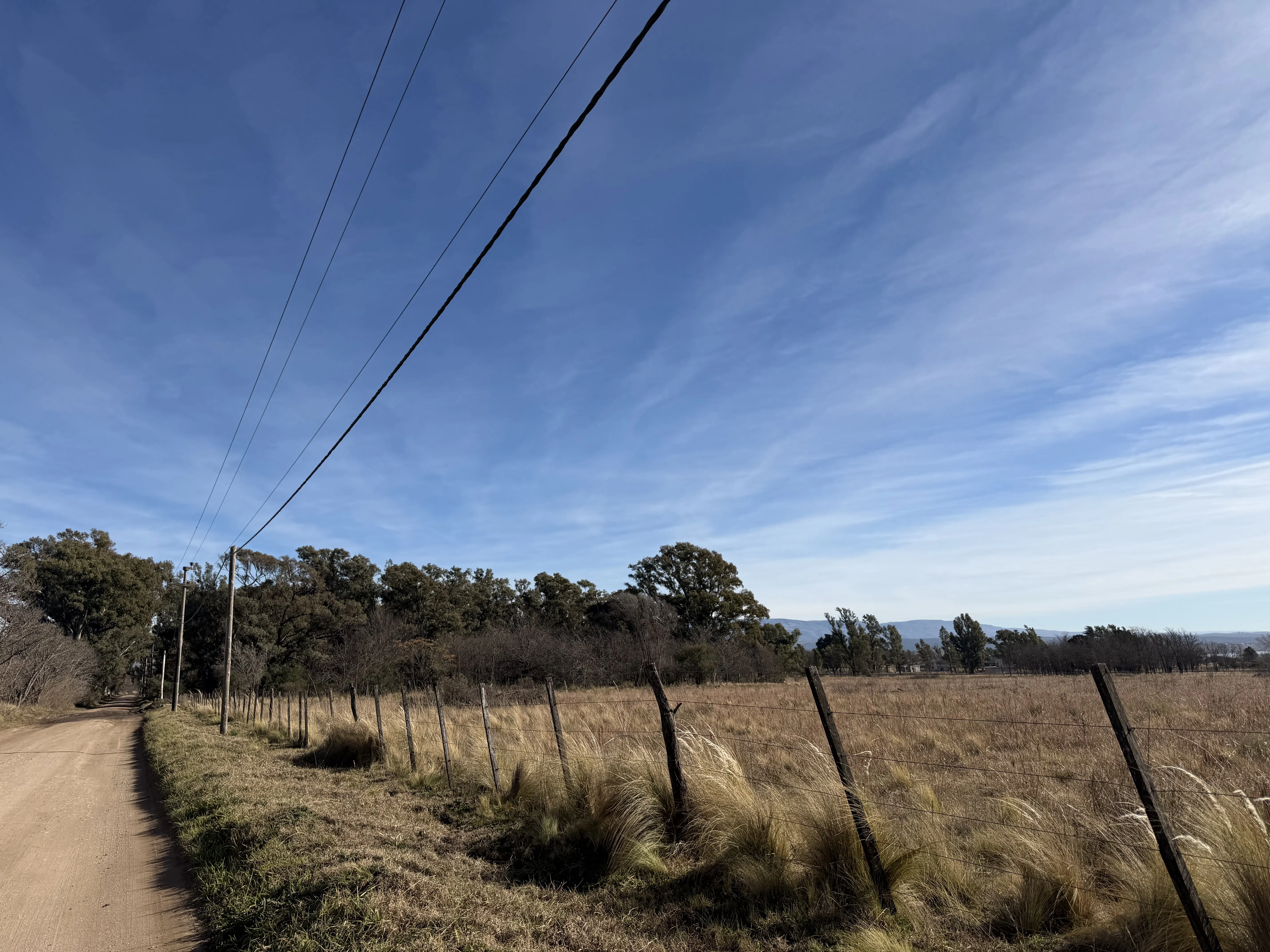 LOS REARTES, LOS REARTES