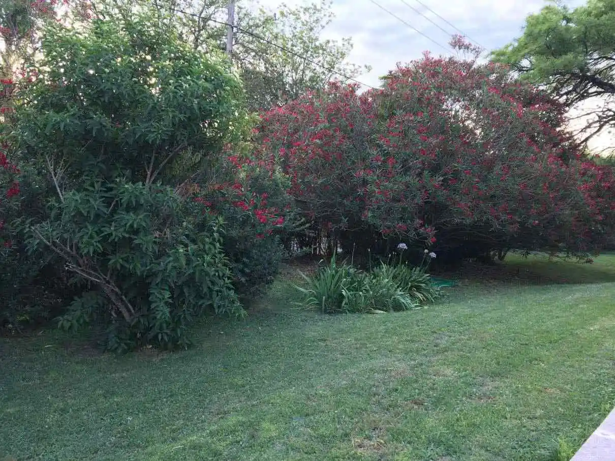 TERRENO EN VENTA, VILLA ALLENDE