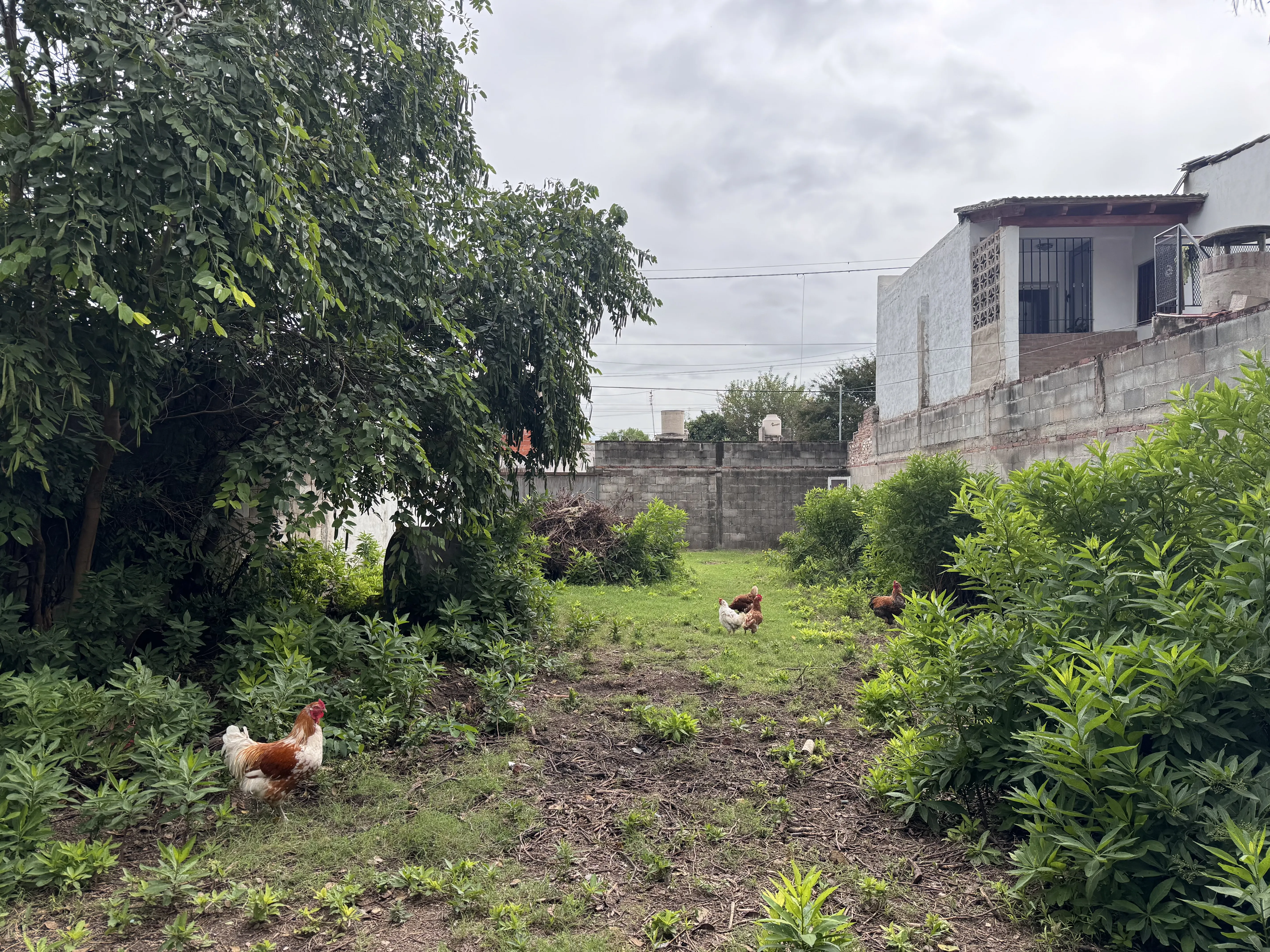 Oportunidad - CASA a TERMINAR - Facilidades