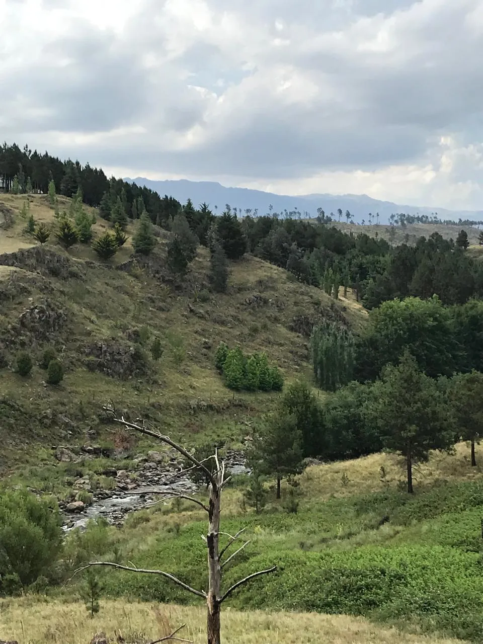 10 HECTARES VENDO EN EL EXCLUSIVO ATOS PAMPA con ARROYO!!!