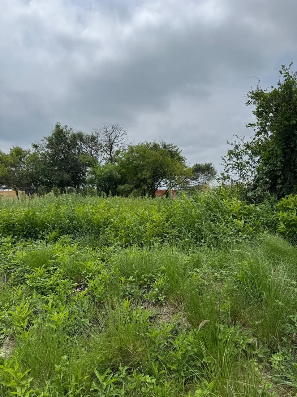 Se vende lote en Barrio Cerrado Aires del Noroeste