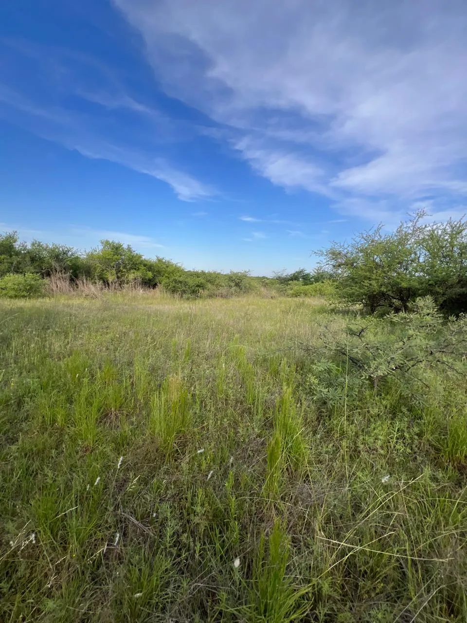 OPORTUNIDAD EN SAN ISIDRO - LOTE DE 6858 m2 sobre ruta E56