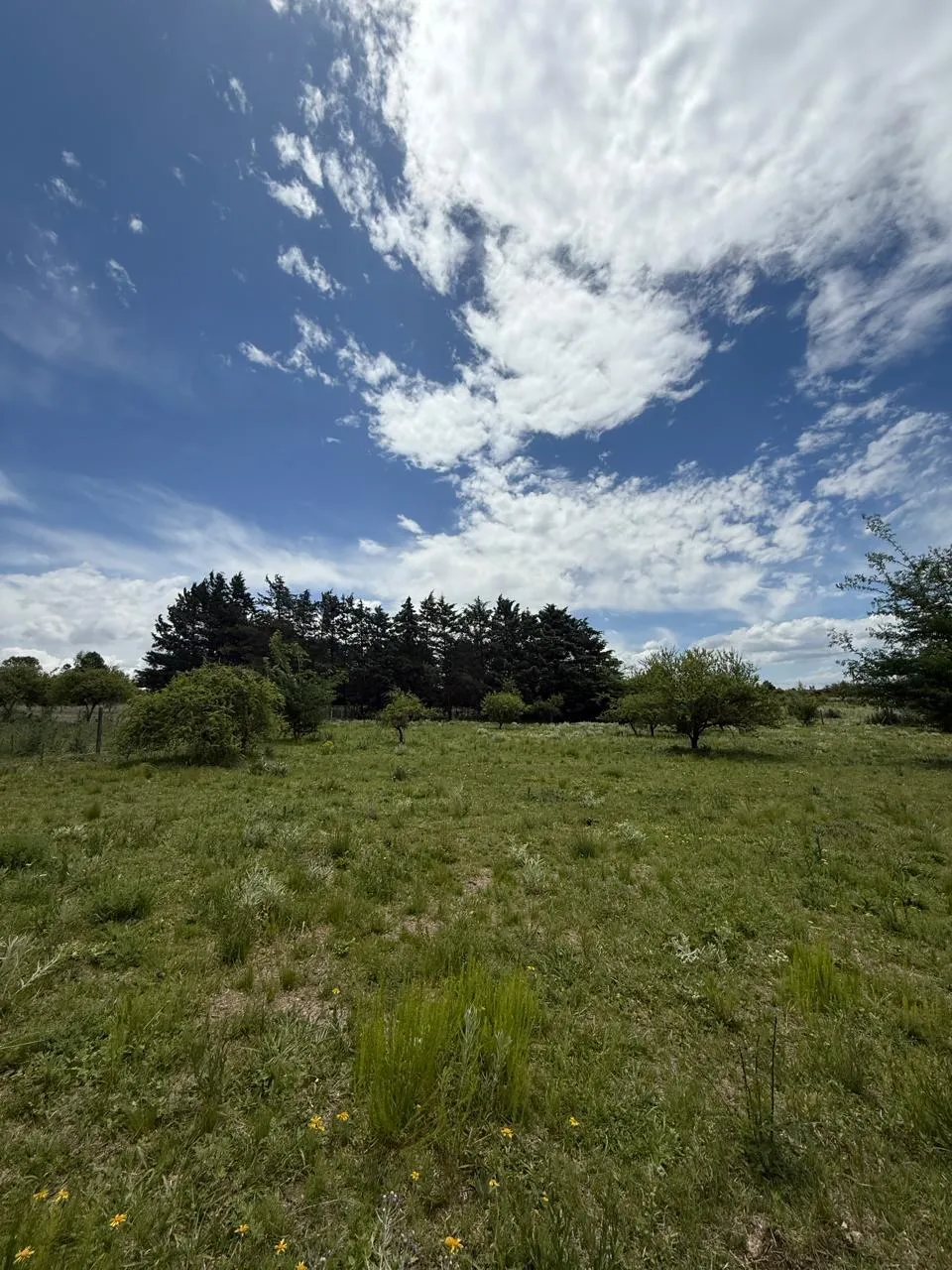TERRENO POTRERO DE GARAY 2500m2 IDEAL EMPRENDIMIENTO TURISTICO