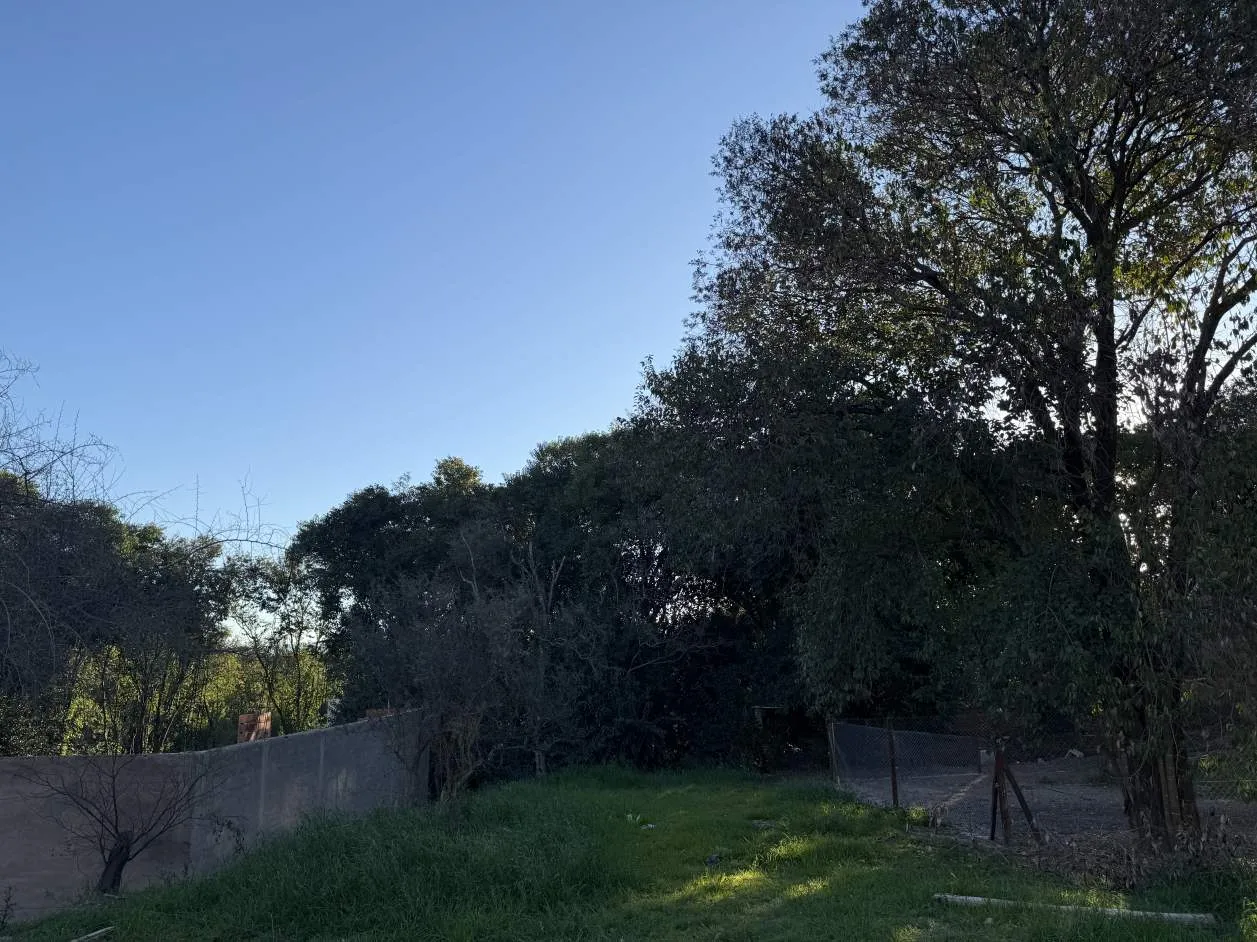 Ecos de Catalina Villa Catalina 400 m2