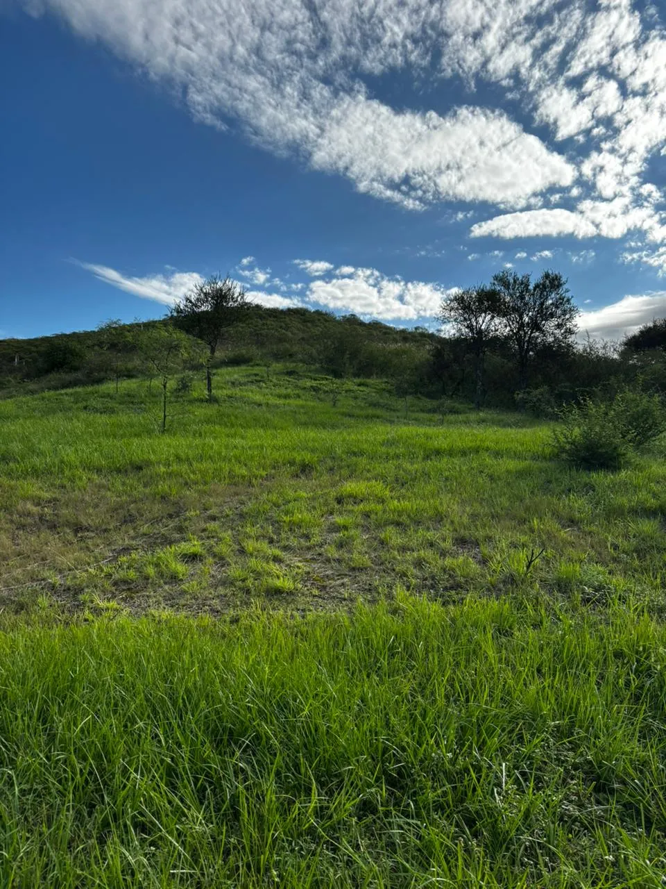 COLINAS DE LA DESEADA- LOTE EN VENTA