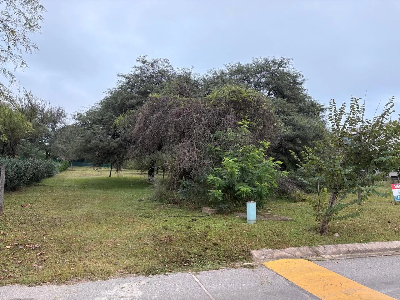 Terreno en El Bosque, 1500 m2, gran arboleda autóctona, boulevard principal