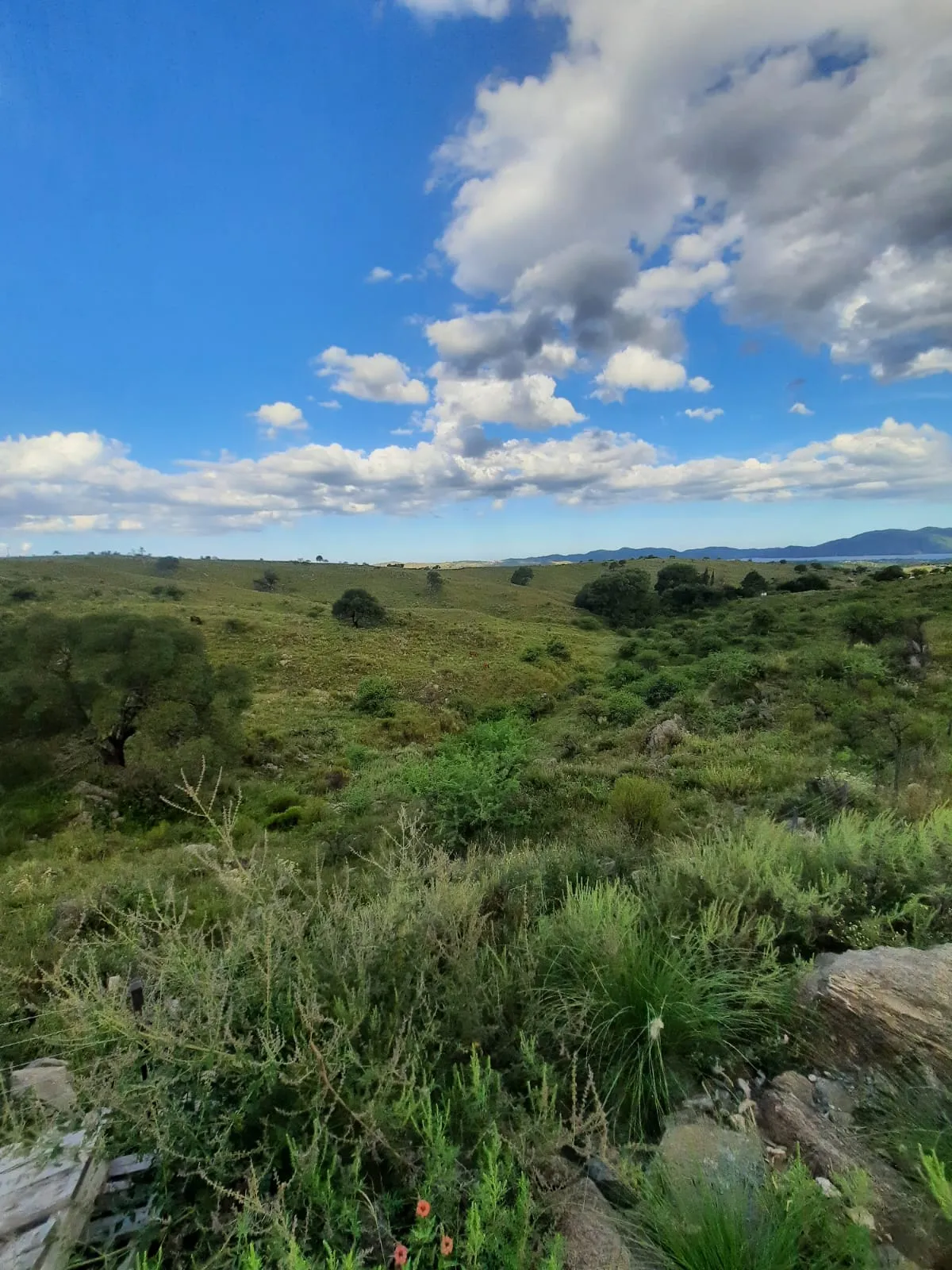 LOTE EN VENTA EN BARRIO CERRADO ESTANCIA LA CUNKA