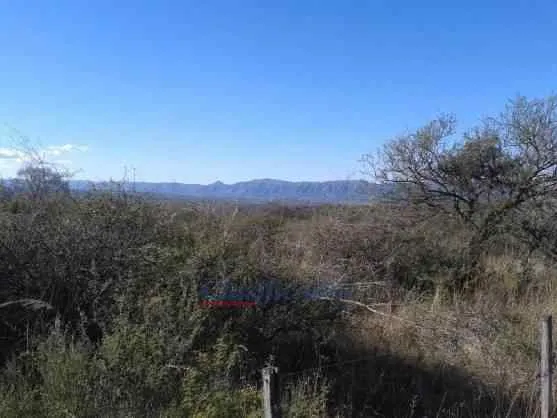 TERRENO DE 13.386 M2 A METROS DE RUTA PROVINCIAL Nº28. TANTI