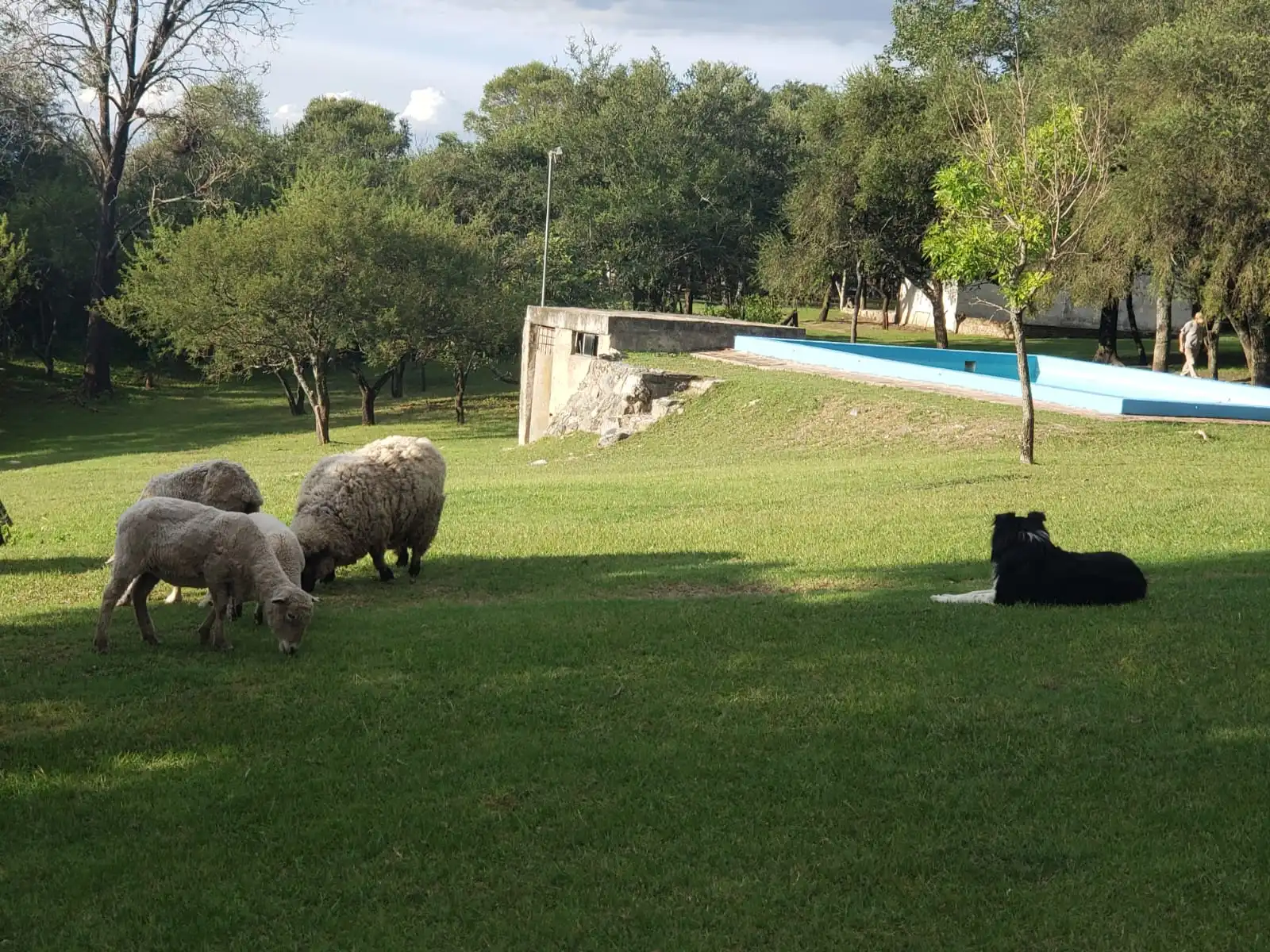 CAMPO VENTA FALTA DEL CARMEN  sobre Ruta E96 25 has. con arroyo propio. Esritura...