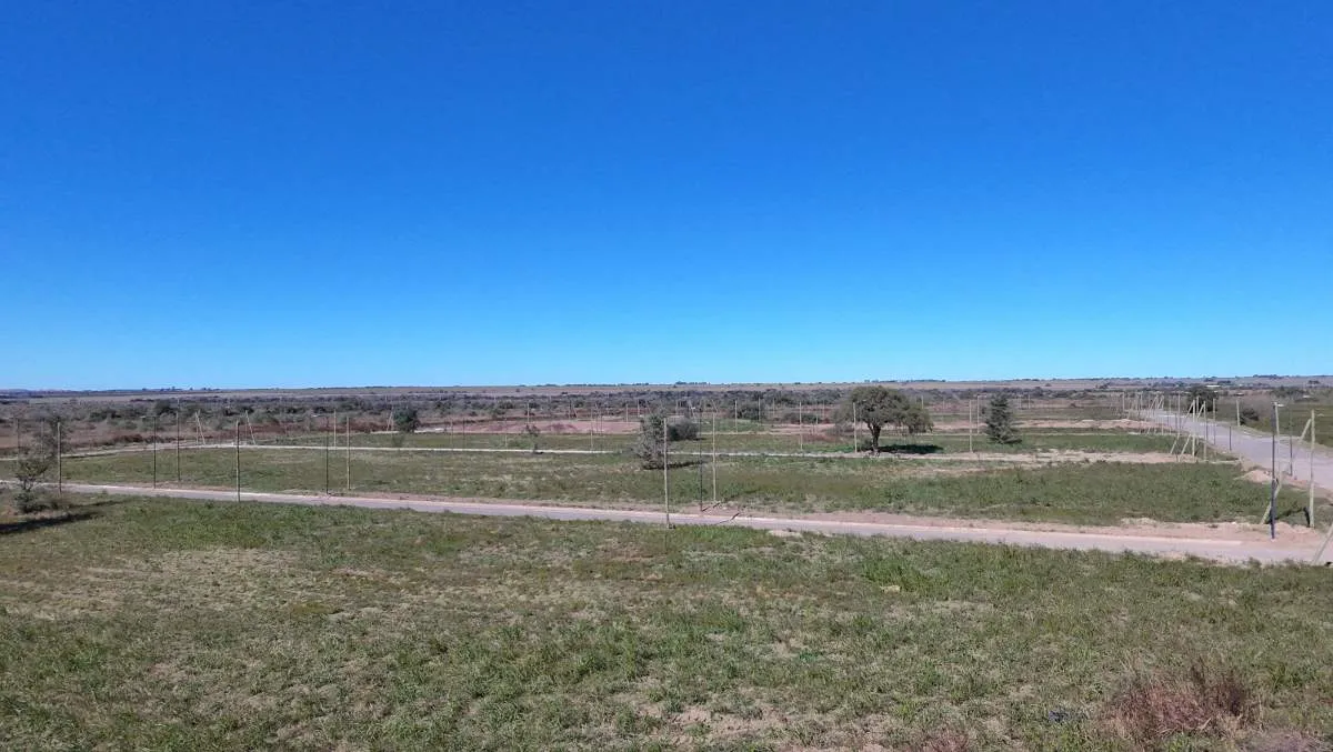 DOS LOTES CONTIGUOS EN VENTA DOCTA CENTRAL  MALAGUEÑO
