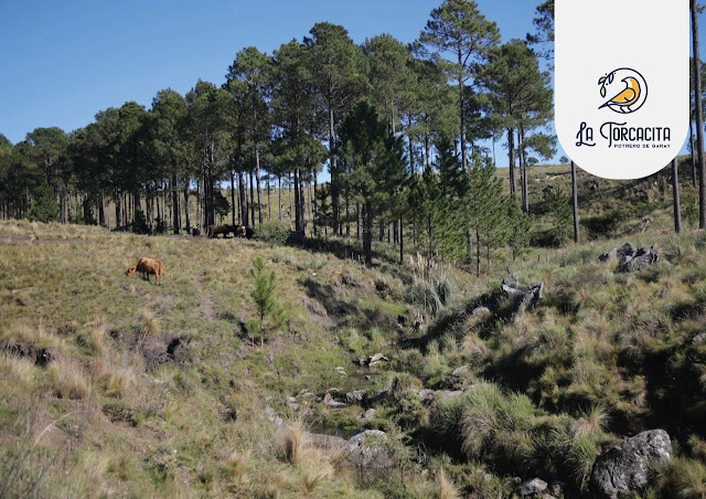 LOTE - POTRERO DE GARAY - 700 M2 - ESCRITURA INMEDIATA