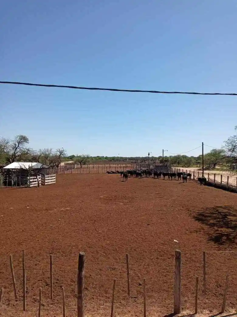 Campo en Venta en PASO VIEJO, Dpto Cruz del Eje. 4.700 hts. U$S 700 C/HTS.
