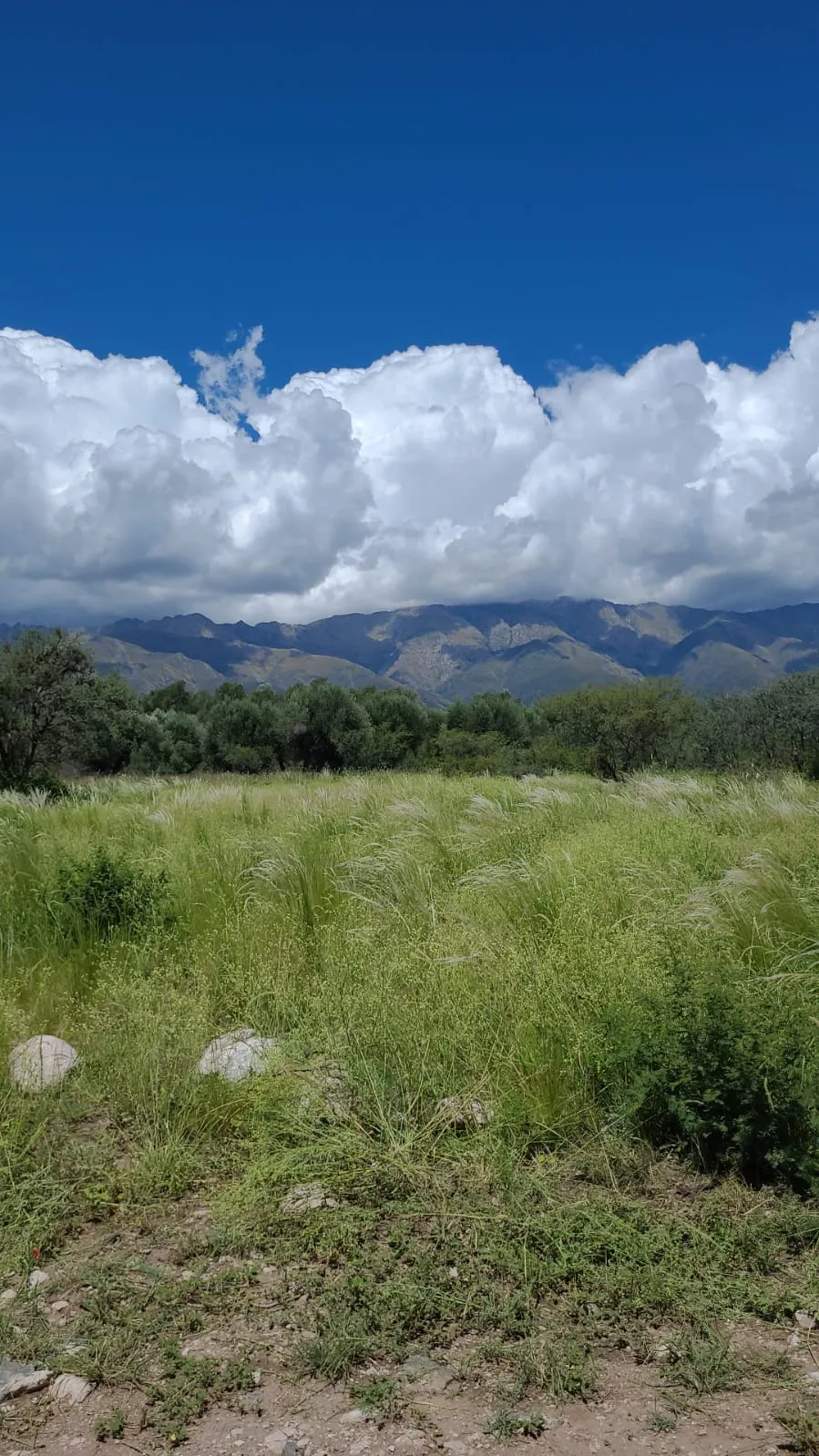LOTES EN VENTA EN LOS MOLLES! Villa de La Rosas Traslasierra Córdoba