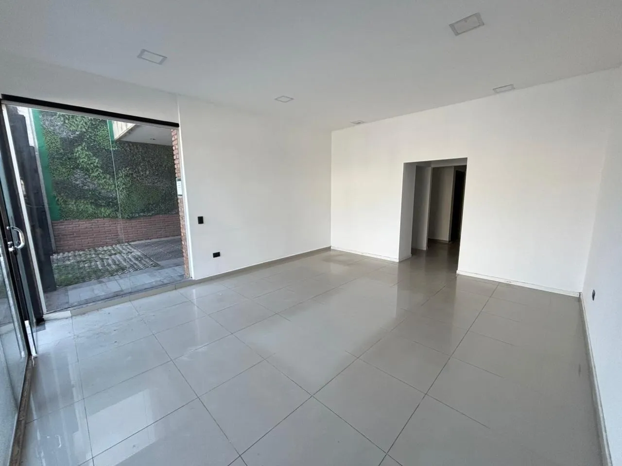 LOCAL COMERCIAL ROMA 1039