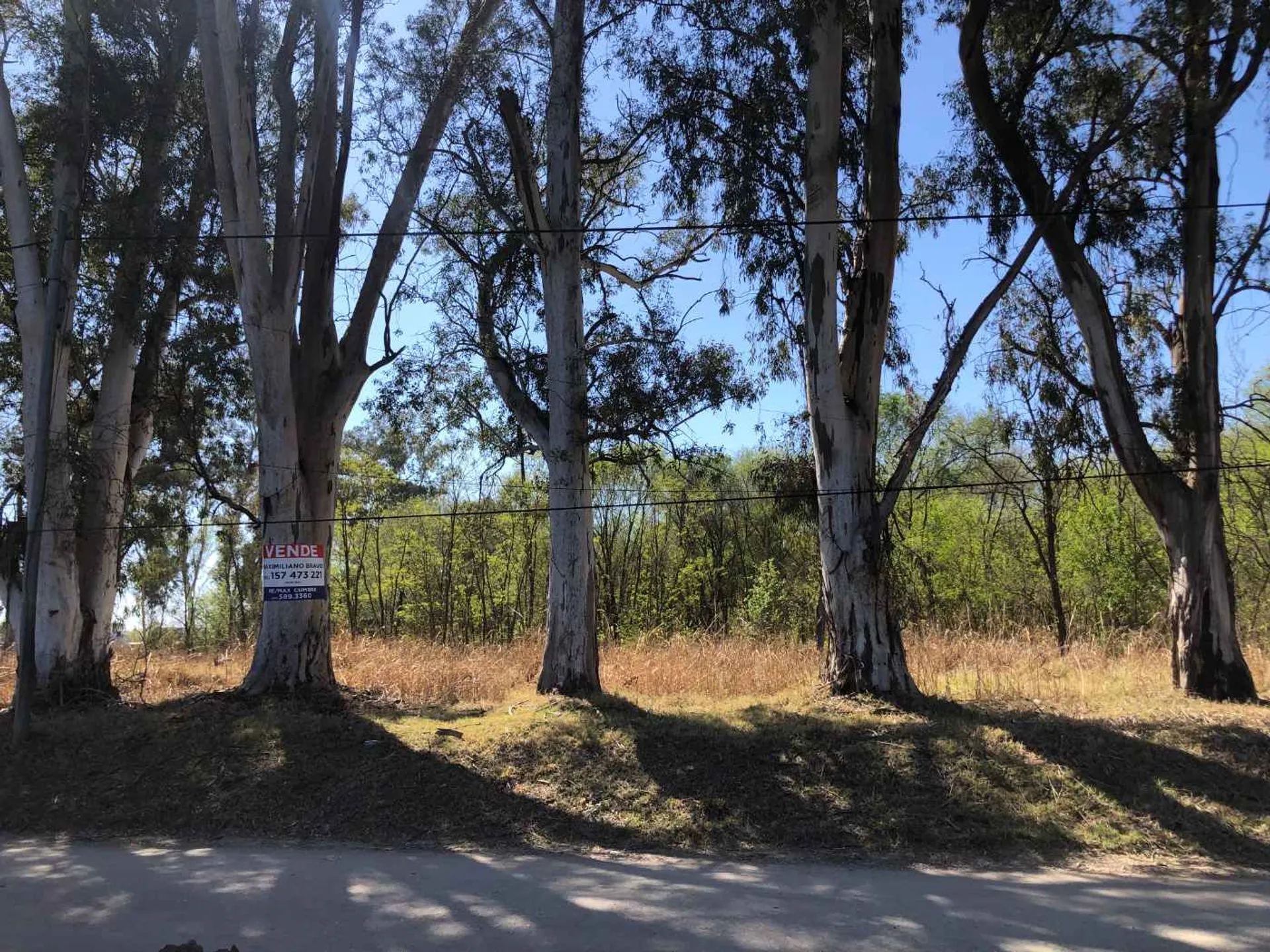 SE VENDE LOTE RUTA 5 ANISACATE 4805 M2