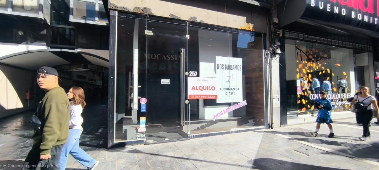 Local Comercial en Alquiler en Zona Centro  253 m2 con Subsuelo y Entrepiso