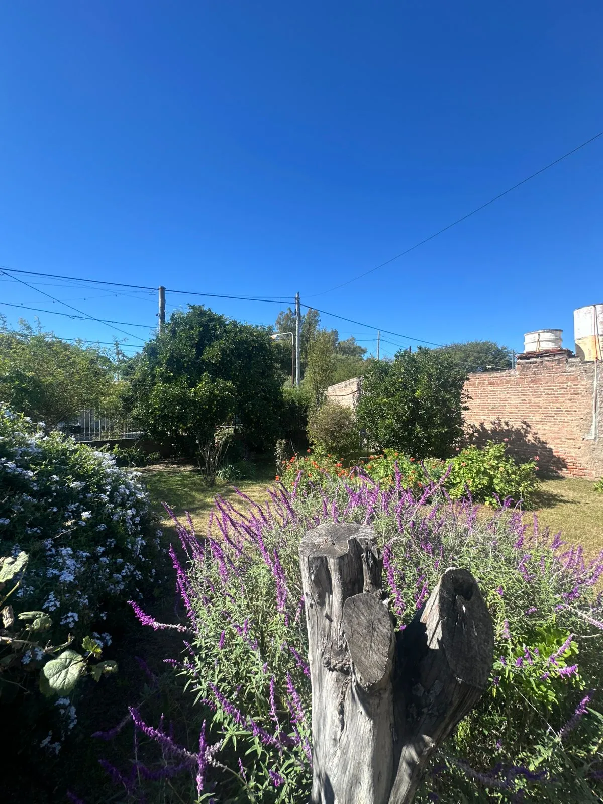 Hermoso Lote con casa a Reciclar!!!