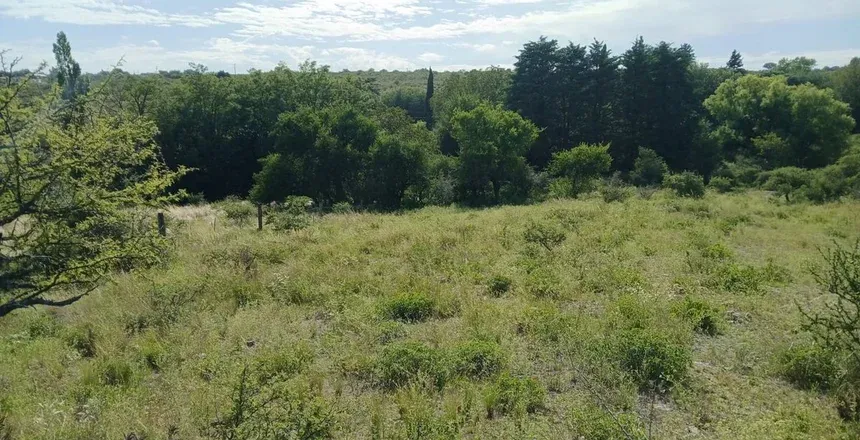 SE VENDE TERRENO 50.000M2 EN TANTI CON ESCRITURA. MF