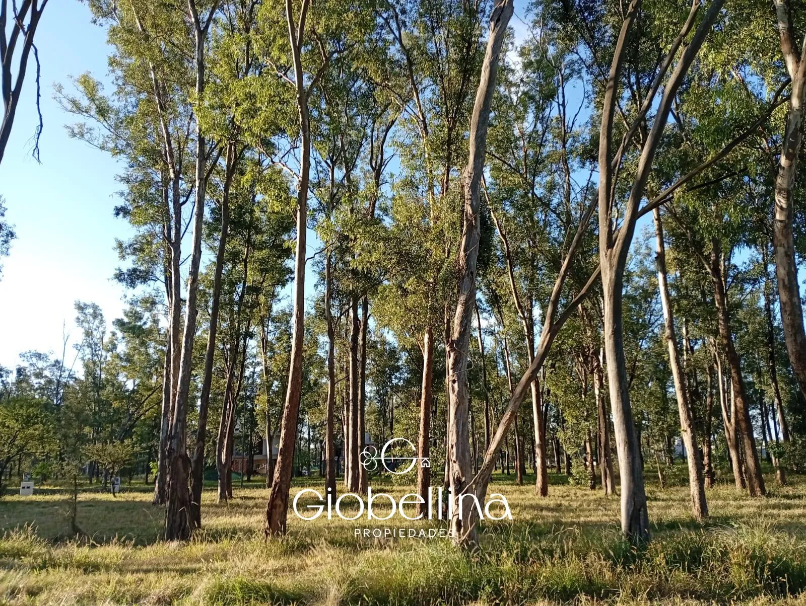 Lote residencial apto duplex en Nuevo Malagueño 380 m2 oportunidad inversión y v...