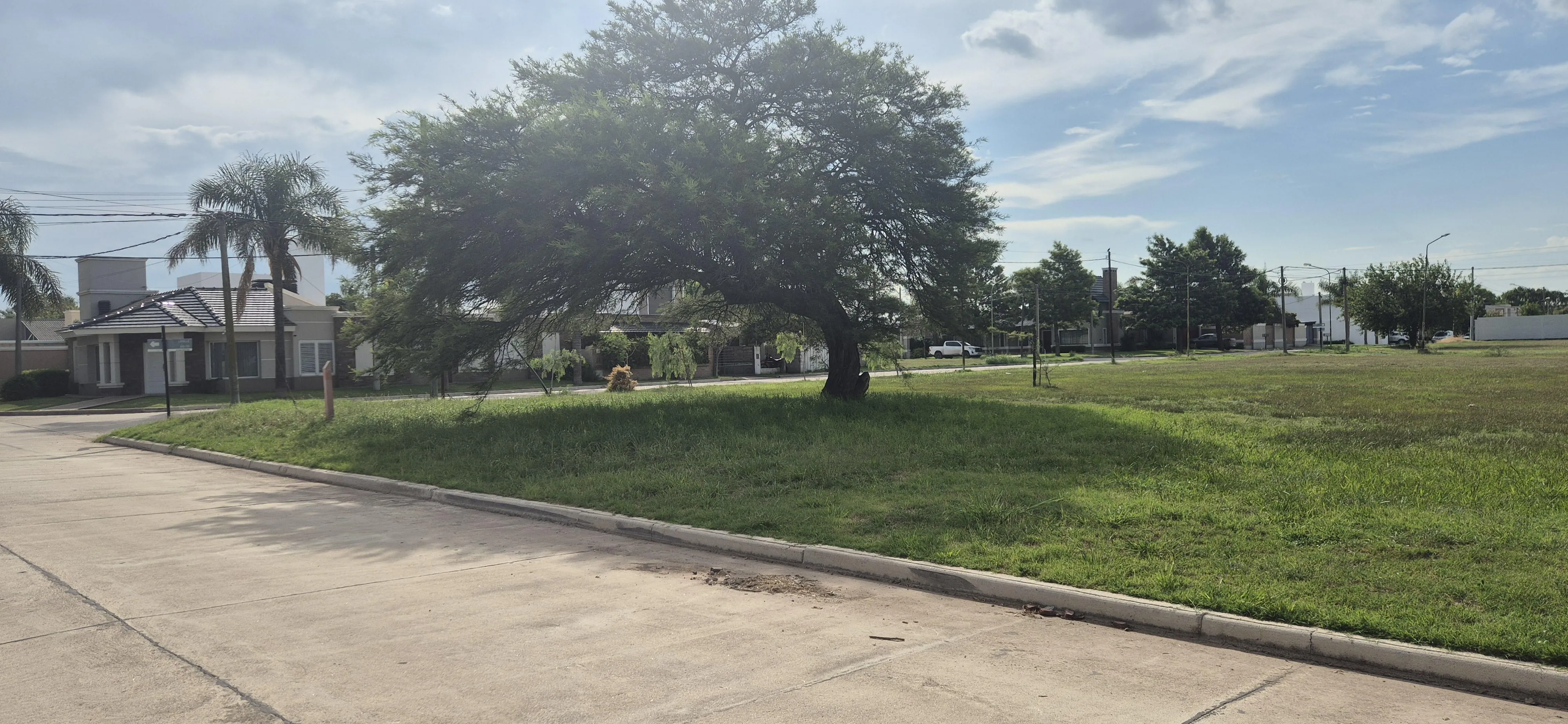 Oportunidad de Inversión: 4 Lotes con Escritura en Barrio San Cayetano  Oliva