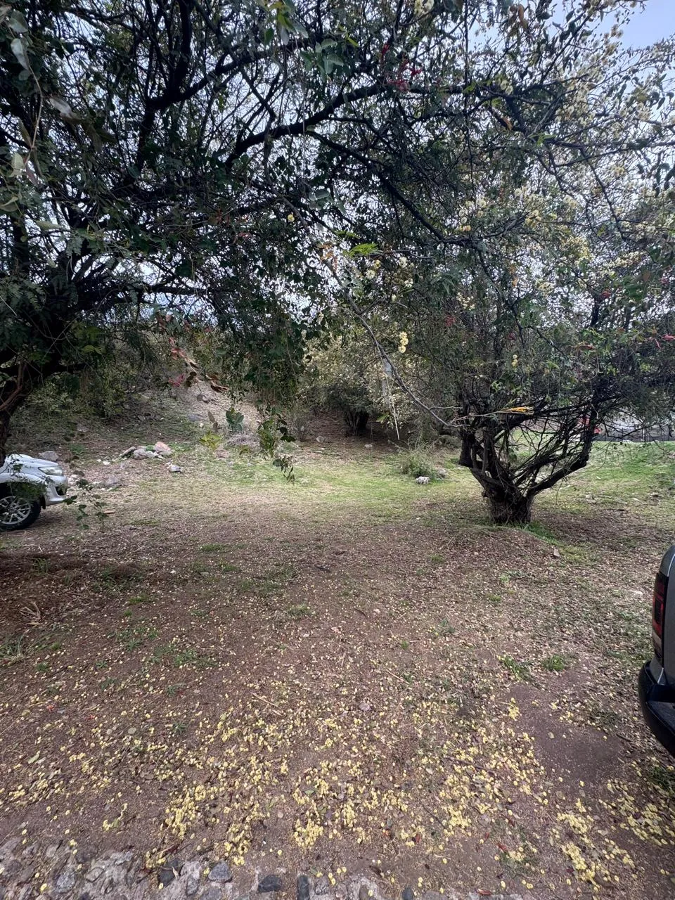 ¡Venta! Lote en La Rufina ¡Con Pendiente Positiva!¡Con Escritura!