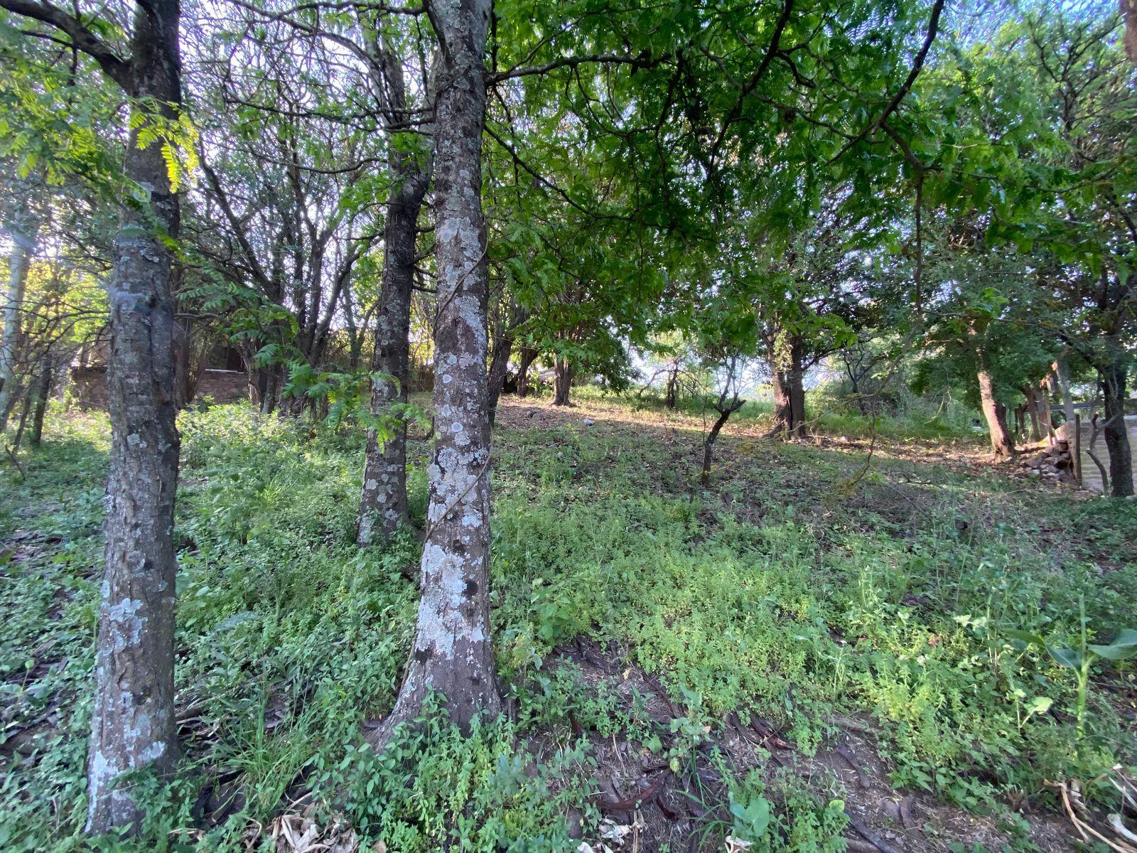 VENTA LOTE EN MENDIOLAZA  CENTRO- 1294 MTRS