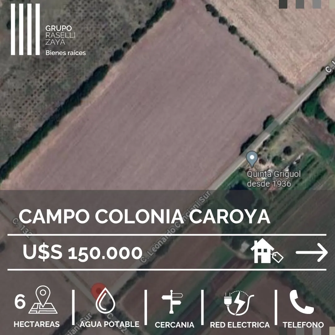 CAMPO 6 Has. EN VENTA COLONIA CAROYA