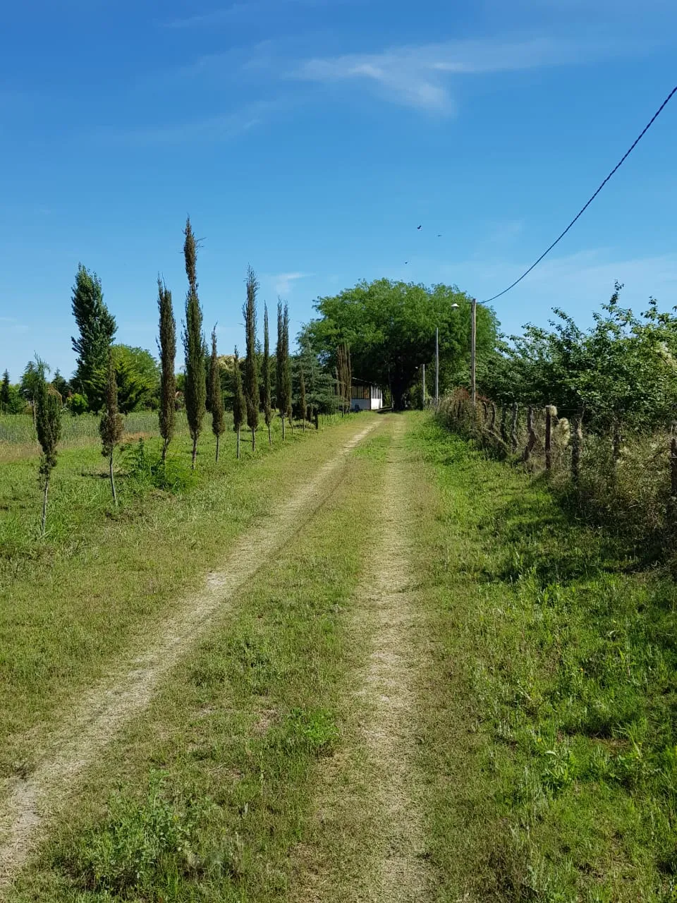 VENTA- TERRENO DE 2 HAS- SAUJIL