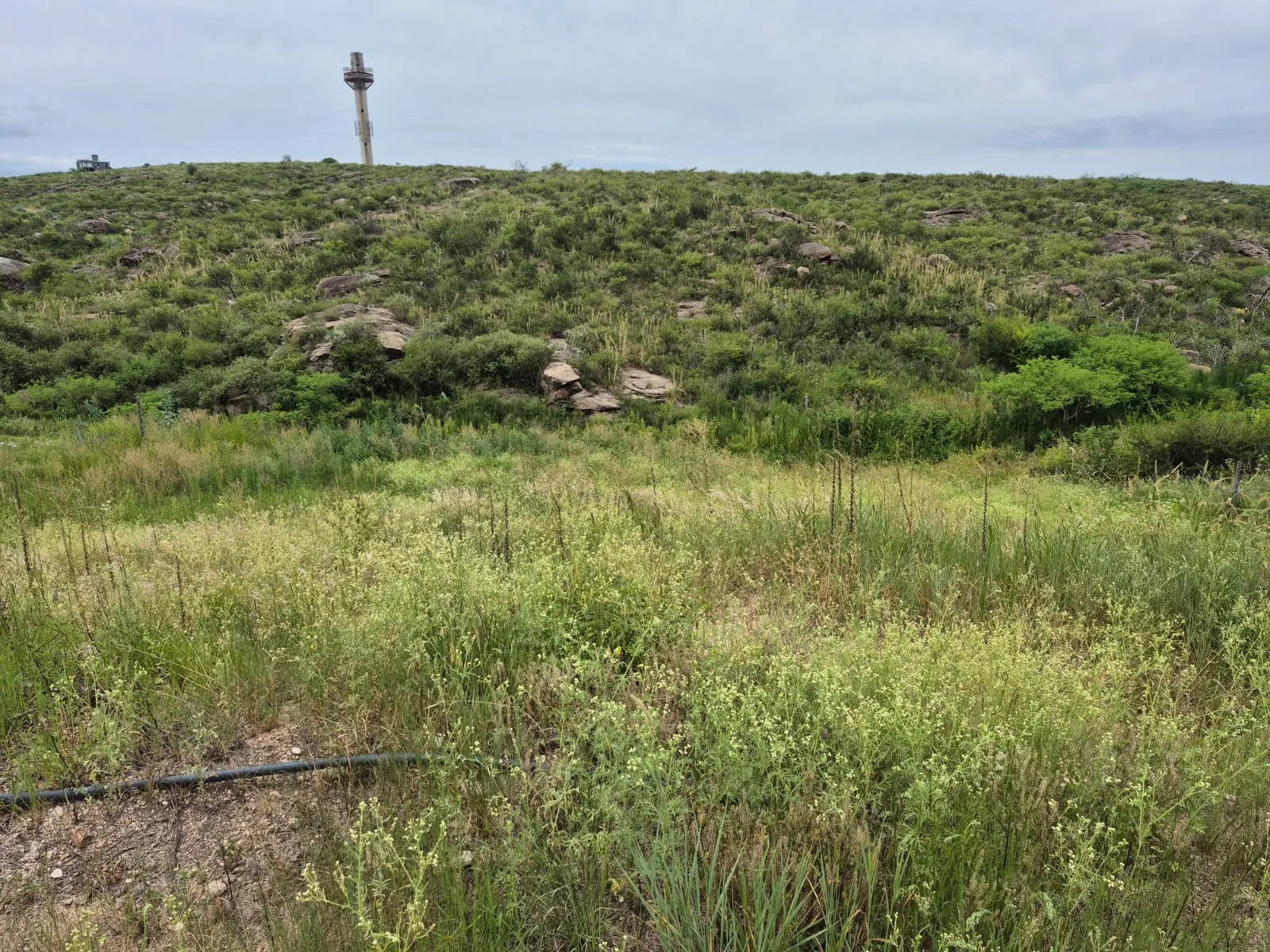 LOTES EN VENTA BARRIO VISTAS DEL LAGO ( EX LA LOMA ) VCP
