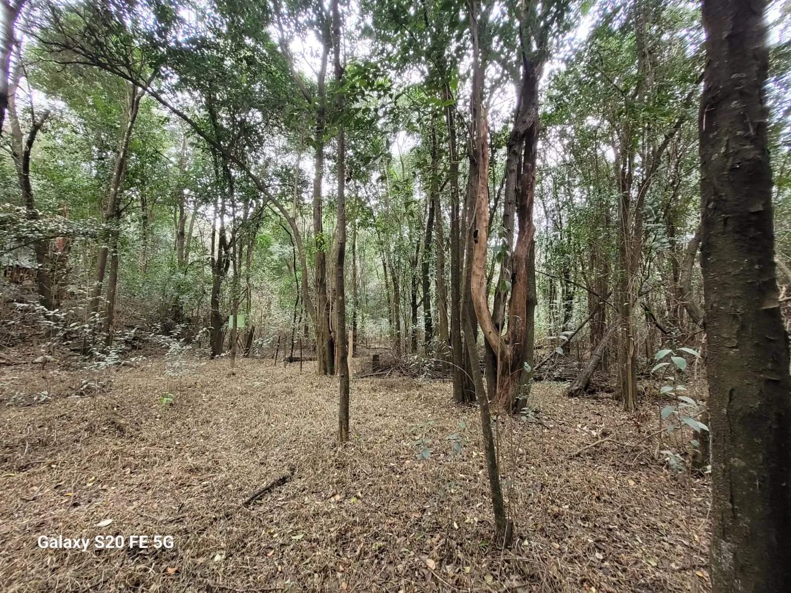 TERRENO VENTA RIO CEBALLOS  VILLA LOS ALTOS 1793 MTS