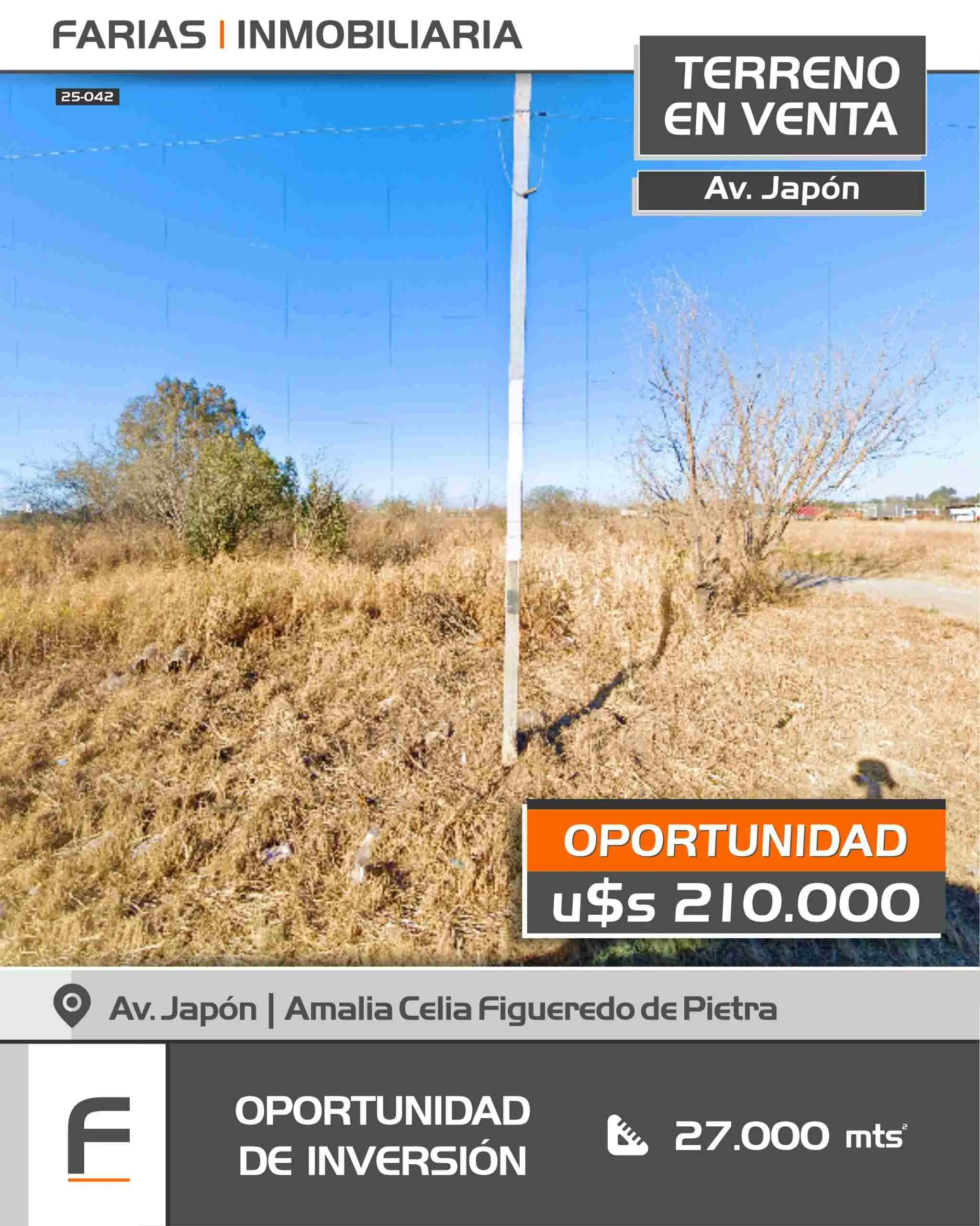 VENTA TERRENO s/ AV JAPON 7.259 MTS (26 x 297)