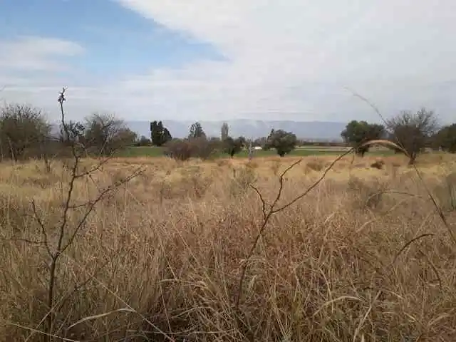 Campo, casa y galpon, en venta en San Pedro, Traslasierras