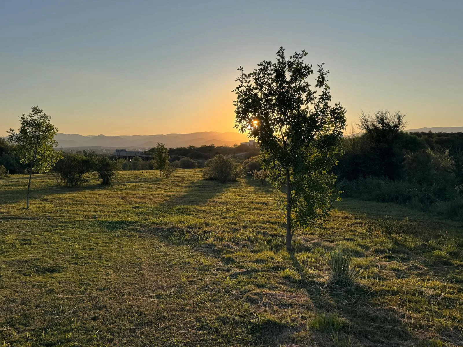 Llano como el lago, bello como el atardecer (GV)