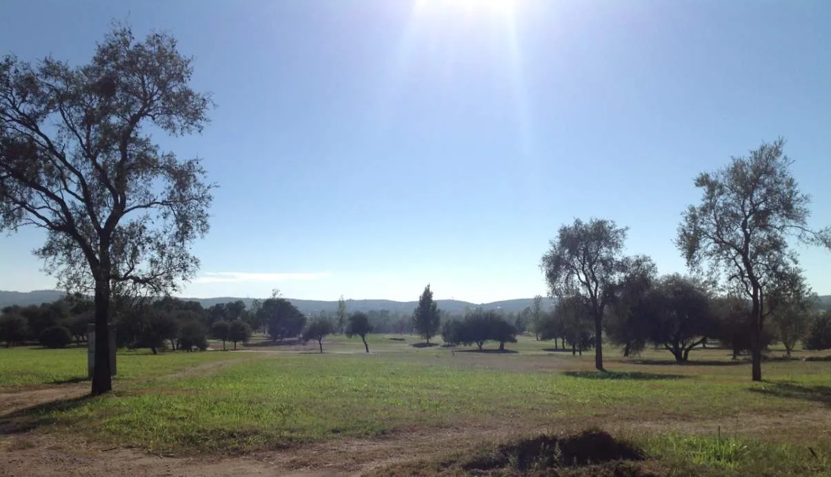 Zona Central, Lote 800m2, 22mts de Frente. Listo para construir. Country Valle d...