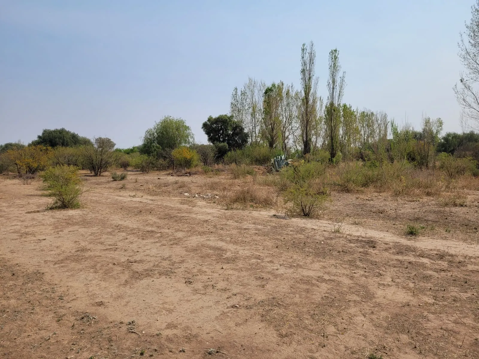 LOTE EN VENTA EN VILLA DOLORES! Traslasierras Cordoba Departamento San Javier