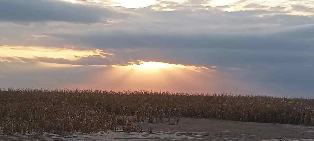 VENTA-CAMPO GANADERO 200has-SANTIAGO DEL ESTERO