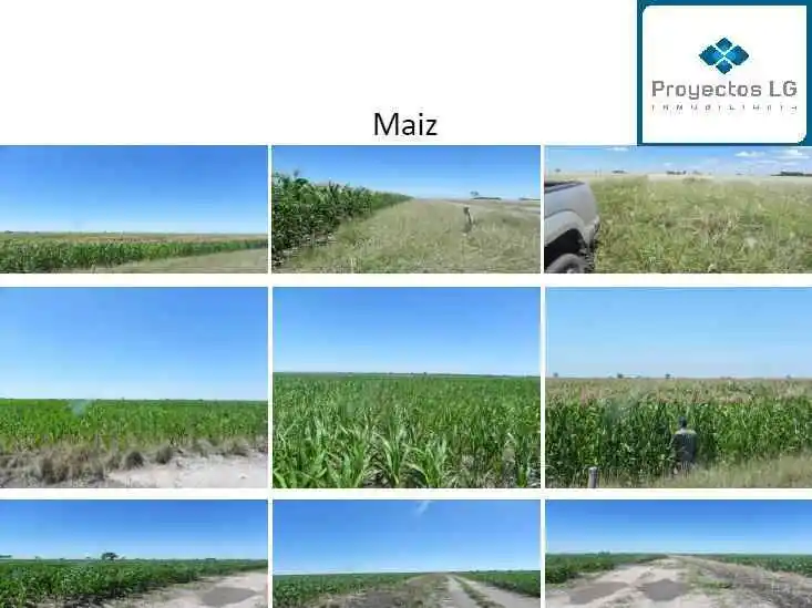 CAMPO EN VENTA-SANTIAGO DEL ESTERO-5620has- AGRICOLA GANADERO