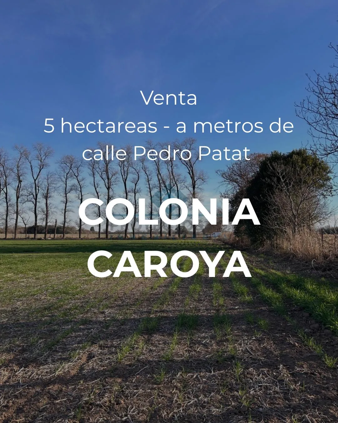VENTA-QUINTA 4.5HAS- COLONIA CAROYA